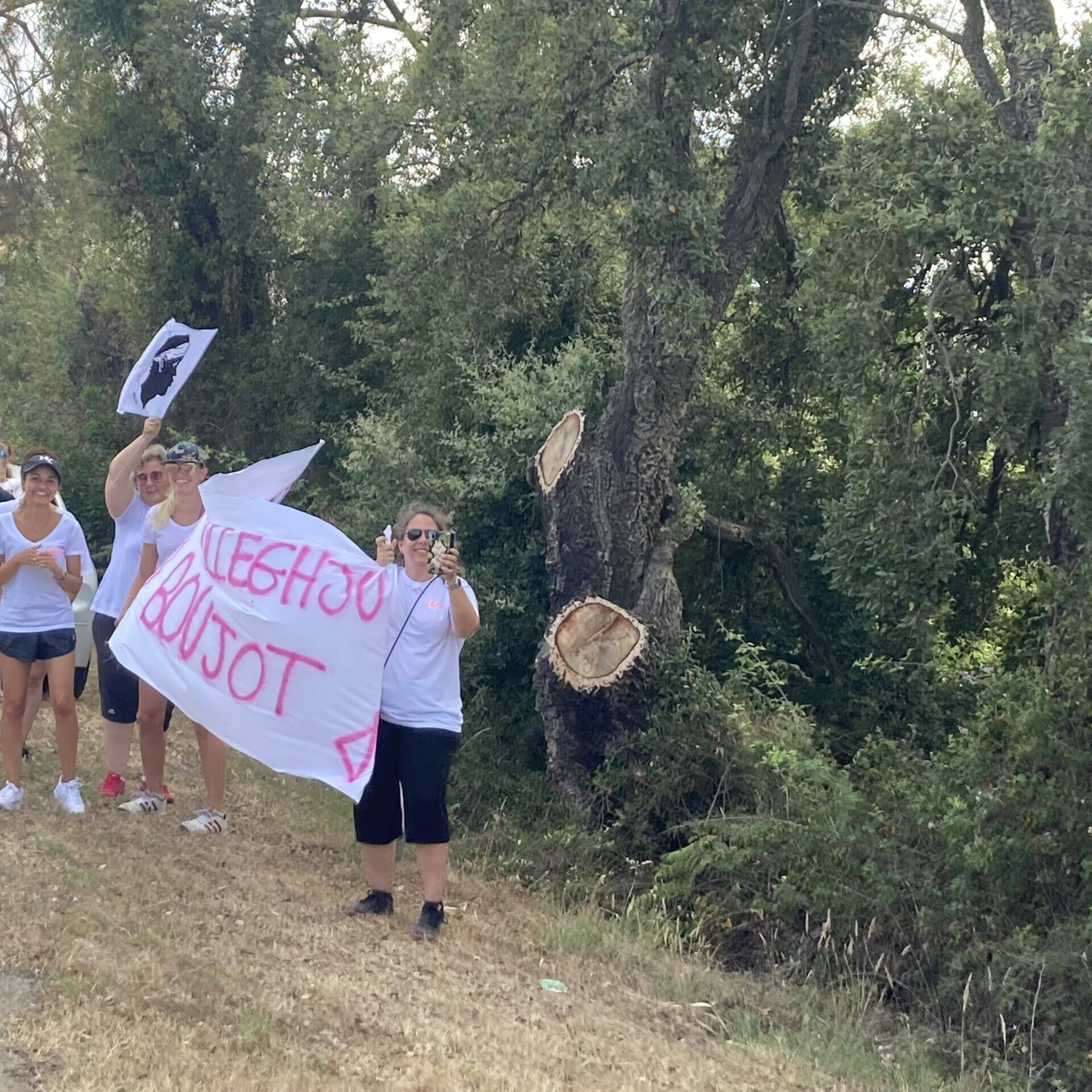 Chm 69B - Currilingua 2021