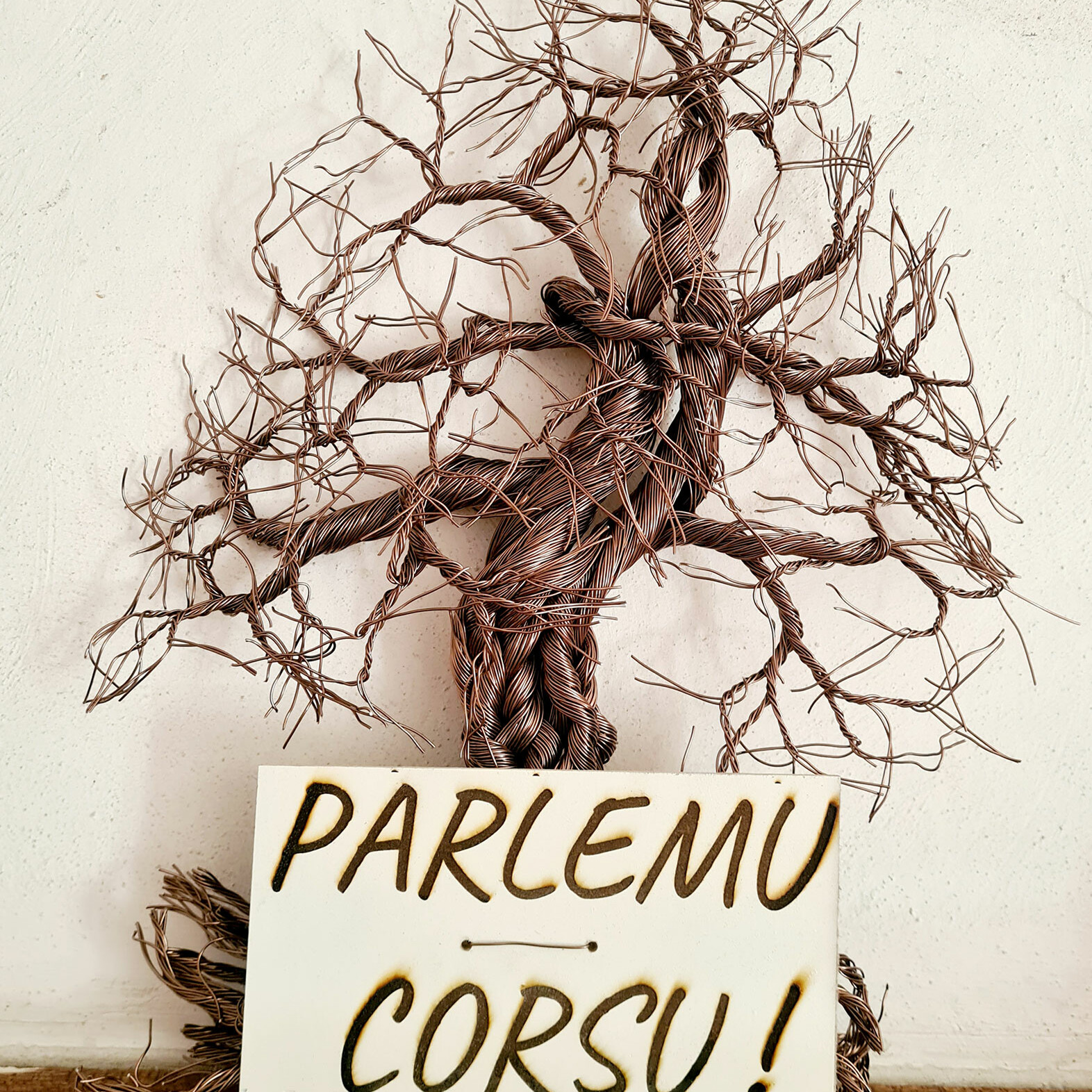 Tistimoniu Currilingua 2023