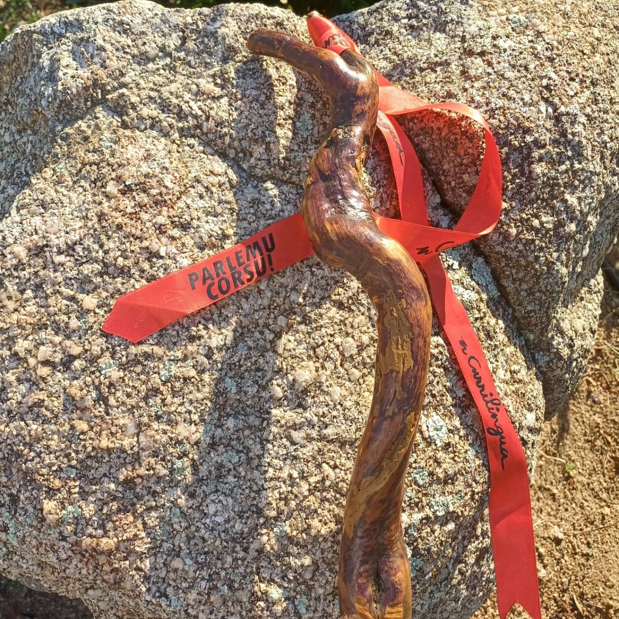 Tistimoniu Currilingua 2024