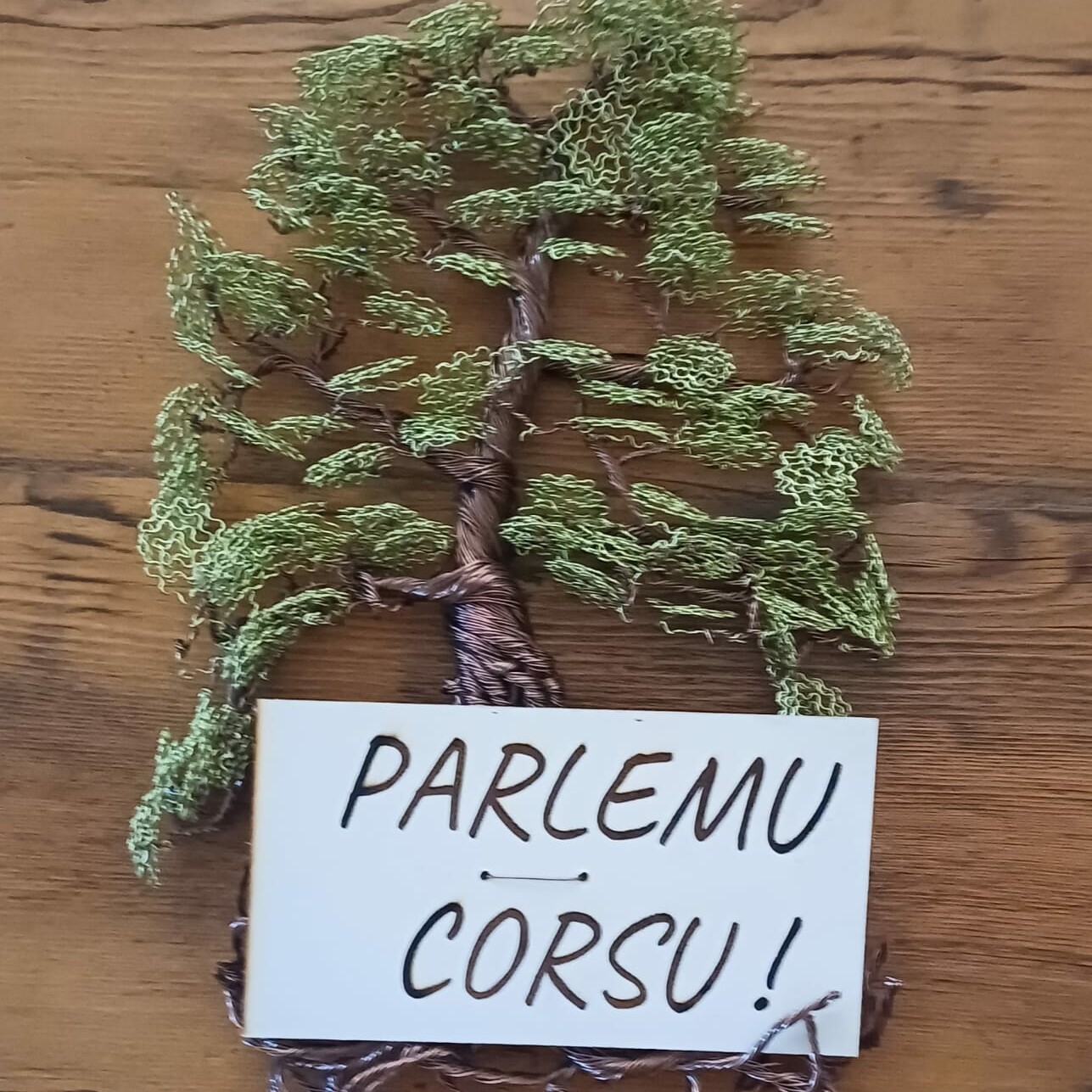 Tistimoniu Currilingua Terza Idizioni